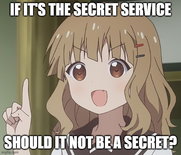 HmMmMM | IF IT'S THE SECRET SERVICE; SHOULD IT NOT BE A SECRET? | image tagged in the person above me | made w/ Imgflip meme maker