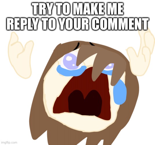 A | TRY TO MAKE ME REPLY TO YOUR COMMENT | image tagged in fakie crying because she trash | made w/ Imgflip meme maker