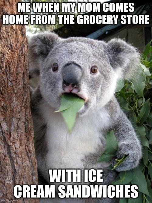 Yep | ME WHEN MY MOM COMES HOME FROM THE GROCERY STORE; WITH ICE CREAM SANDWICHES | image tagged in memes,surprised koala,funny,funny memes | made w/ Imgflip meme maker