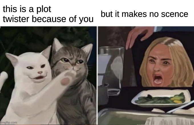 IDK | this is a plot twister because of you; but it makes no scene | image tagged in woman yelling at cat | made w/ Imgflip meme maker