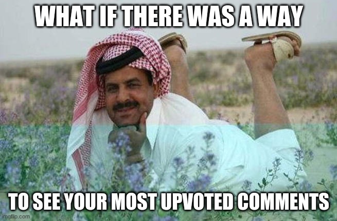 hmmm... | WHAT IF THERE WAS A WAY; TO SEE YOUR MOST UPVOTED COMMENTS | image tagged in whatcha thinkin about | made w/ Imgflip meme maker