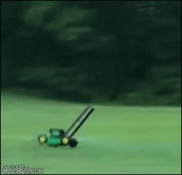 Animated GIF - Imgflip