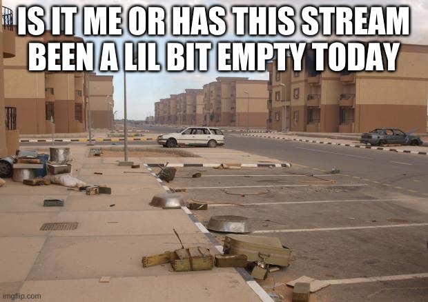 srsly where did everyone go? |  IS IT ME OR HAS THIS STREAM BEEN A LIL BIT EMPTY TODAY | image tagged in ghost town | made w/ Imgflip meme maker