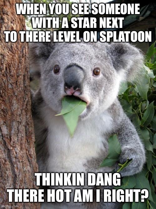 Surprised Koala | WHEN YOU SEE SOMEONE WITH A STAR NEXT TO THERE LEVEL ON SPLATOON; THINKIN DANG THERE HOT AM I RIGHT? | image tagged in memes,surprised koala,splatoon 2 | made w/ Imgflip meme maker