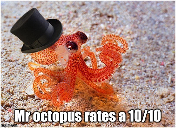 Mr octopus rates a 10/10 | made w/ Imgflip meme maker