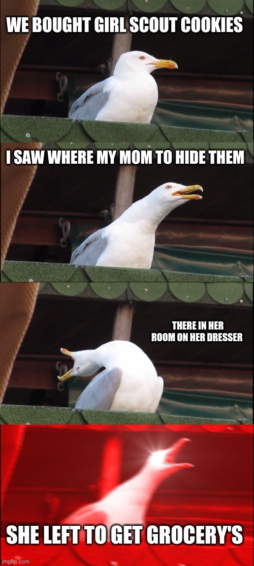 Inhaling Seagull Meme | WE BOUGHT GIRL SCOUT COOKIES; I SAW WHERE MY MOM TO HIDE THEM; THERE IN HER ROOM ON HER DRESSER; SHE LEFT TO GET GROCERY'S | image tagged in memes,inhaling seagull | made w/ Imgflip meme maker