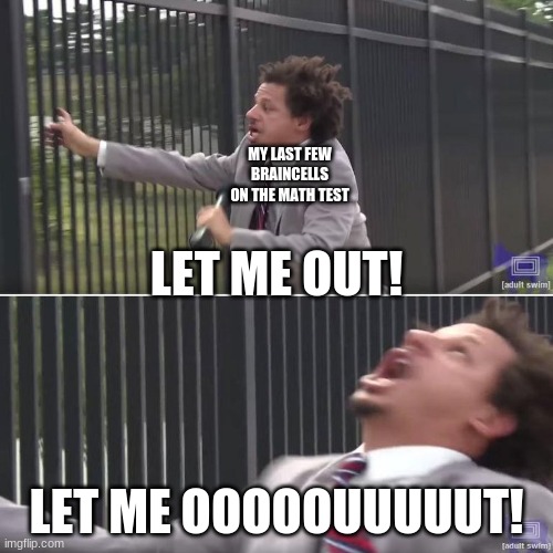 let me ooouuuut! | MY LAST FEW BRAINCELLS ON THE MATH TEST; LET ME OUT! LET ME OOOOOUUUUUT! | image tagged in eric andre let me in blank | made w/ Imgflip meme maker