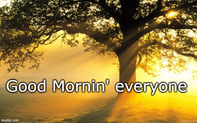 nature | Good Mornin' everyone | image tagged in nature | made w/ Imgflip meme maker