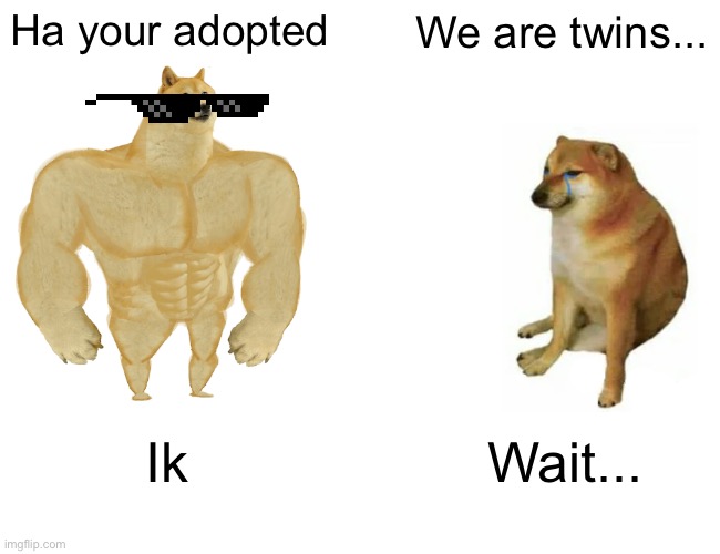 Mememanfan helped make this meme, follow him | Ha your adopted; We are twins... Ik; Wait... | image tagged in memes,buff doge vs cheems | made w/ Imgflip meme maker