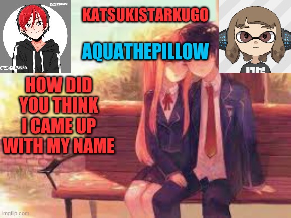 KatsukiStarkugoXAquathepillow | HOW DID YOU THINK I CAME UP WITH MY NAME | image tagged in katsukistarkugoxaquathepillow | made w/ Imgflip meme maker
