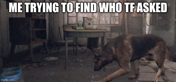 Fallout 4 search | ME TRYING TO FIND WHO TF ASKED | image tagged in fallout 4 search | made w/ Imgflip meme maker