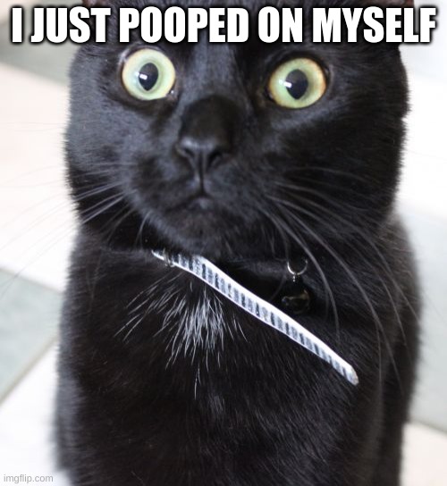 Woah Kitty | I JUST POOPED ON MYSELF | image tagged in memes,woah kitty | made w/ Imgflip meme maker