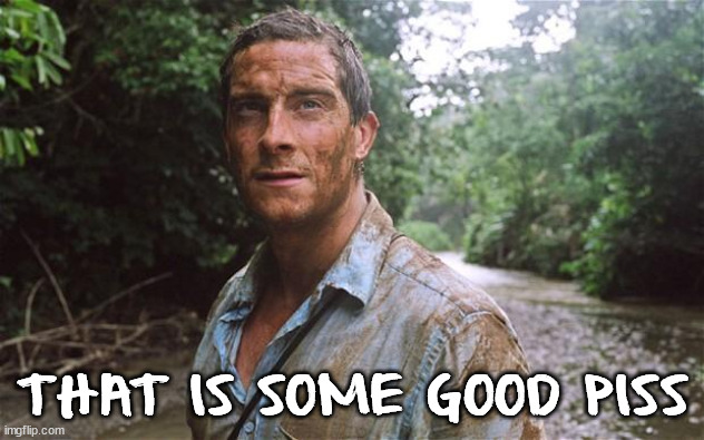 Bear Grylls | THAT IS SOME GOOD PISS | image tagged in bear grylls | made w/ Imgflip meme maker