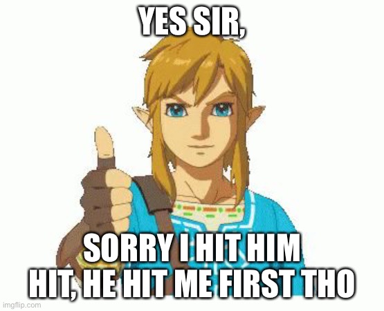 Link Thumbs Up | YES SIR, SORRY I HIT HIM HIT, HE HIT ME FIRST THO | image tagged in link thumbs up | made w/ Imgflip meme maker