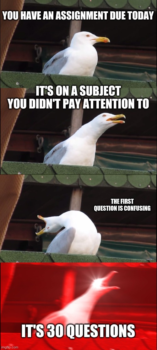 GAHH |  YOU HAVE AN ASSIGNMENT DUE TODAY; IT'S ON A SUBJECT YOU DIDN'T PAY ATTENTION TO; THE FIRST QUESTION IS CONFUSING; IT'S 30 QUESTIONS | image tagged in memes,inhaling seagull | made w/ Imgflip meme maker