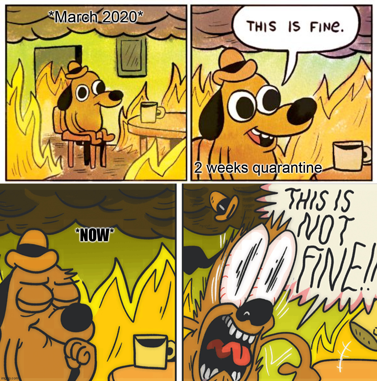 *March 2020*; 2 weeks quarantine; *NOW* | image tagged in memes,this is fine,this is not fine | made w/ Imgflip meme maker