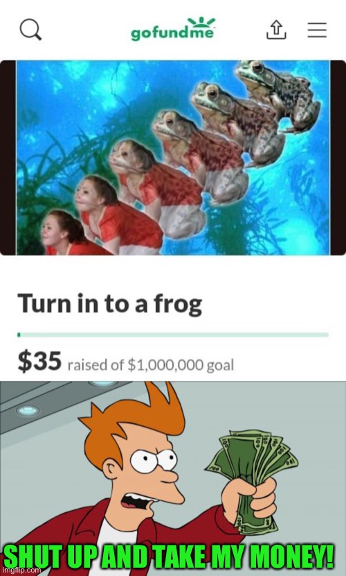 I will give them all $1 million | SHUT UP AND TAKE MY MONEY! | image tagged in memes,shut up and take my money fry,money,frog,gofundme,funny | made w/ Imgflip meme maker