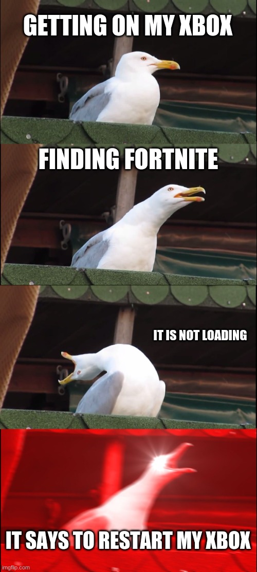 frustration | GETTING ON MY XBOX; FINDING FORTNITE; IT IS NOT LOADING; IT SAYS TO RESTART MY XBOX | image tagged in memes,inhaling seagull | made w/ Imgflip meme maker