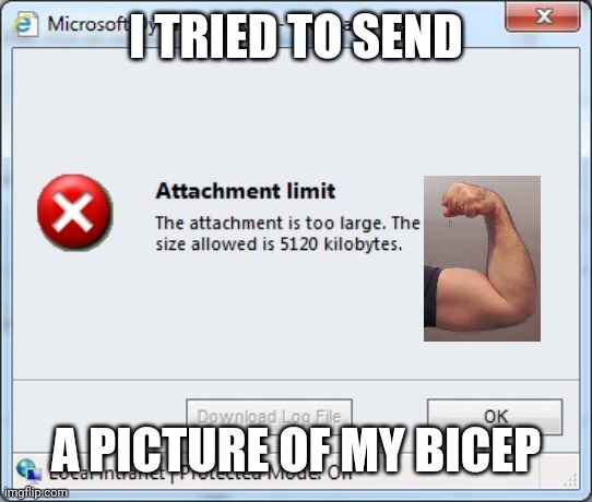 Muscle | image tagged in biceps,gun,swole,arms,leg day | made w/ Imgflip meme maker