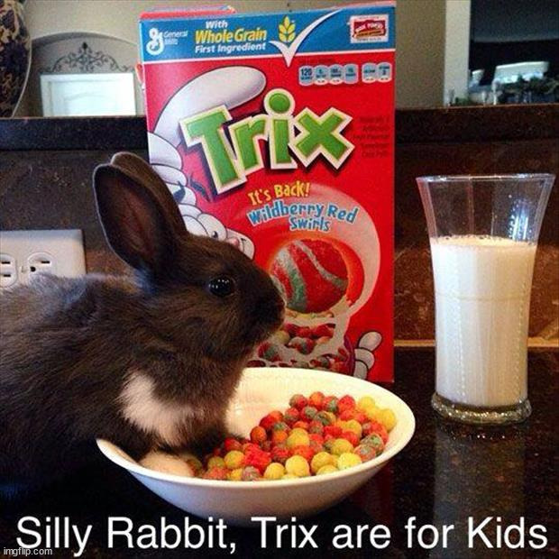 image tagged in bunnies | made w/ Imgflip meme maker