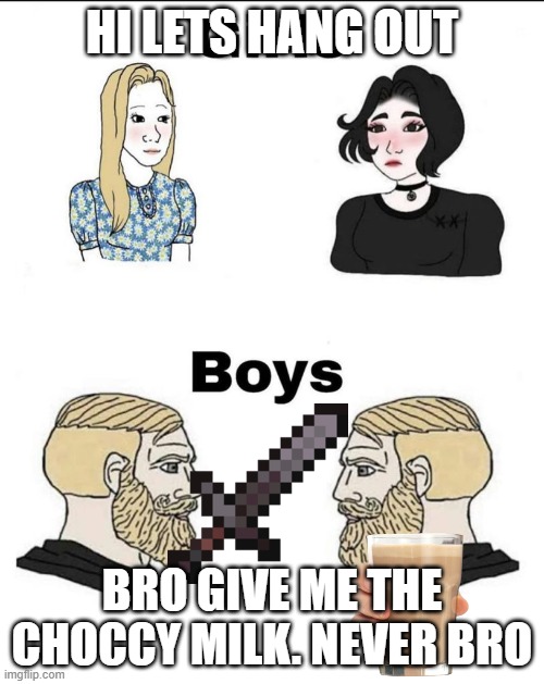 Girls and boys conversation | HI LETS HANG OUT; BRO GIVE ME THE CHOCCY MILK. NEVER BRO | image tagged in girls and boys conversation | made w/ Imgflip meme maker