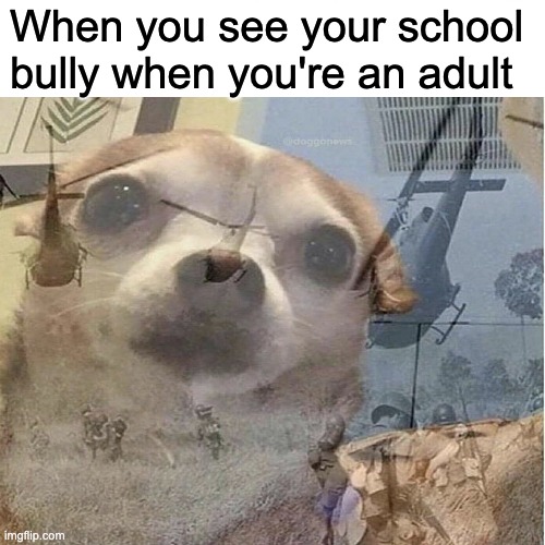 Fortunate Sun Noises | When you see your school bully when you're an adult | image tagged in ptsd chihuahua | made w/ Imgflip meme maker