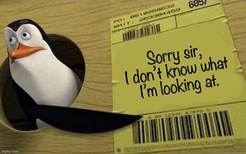 Kowalski | Sorry sir, I don’t know what I’m looking at. | image tagged in kowalski | made w/ Imgflip meme maker
