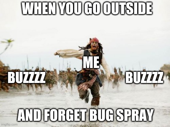bug spray | WHEN YOU GO OUTSIDE                                                                                                                                                                           
AND FORGET BUG SPRAY; ME; BUZZZZ                                BUZZZZ | image tagged in memes,jack sparrow being chased | made w/ Imgflip meme maker