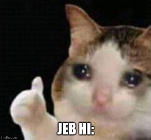 Approved crying cat | JEB HI: | image tagged in approved crying cat | made w/ Imgflip meme maker