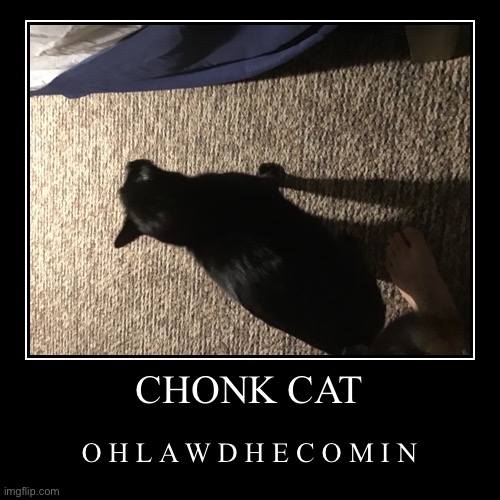 chonker | image tagged in funny,demotivationals | made w/ Imgflip demotivational maker
