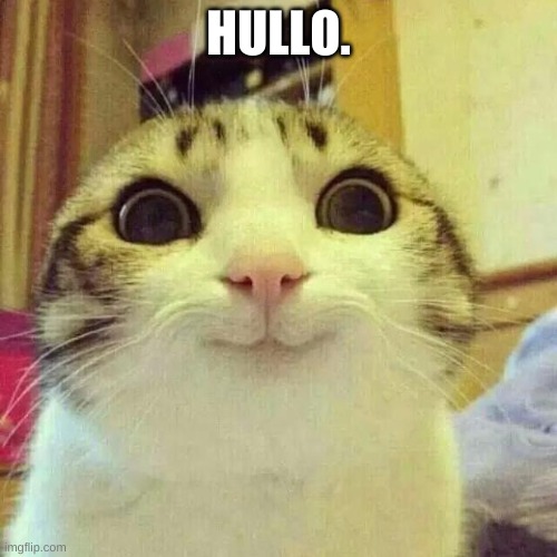 hullo. | HULLO. | image tagged in well hello there | made w/ Imgflip meme maker