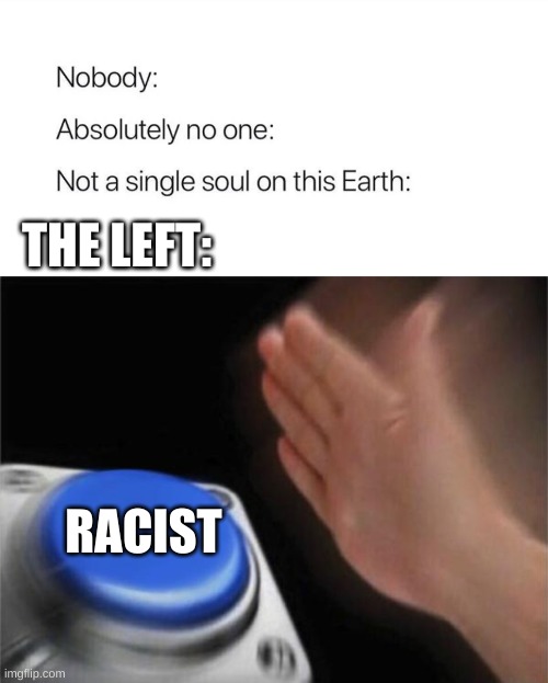 THE LEFT:; RACIST | image tagged in nobody absolutely no one,memes,blank nut button | made w/ Imgflip meme maker
