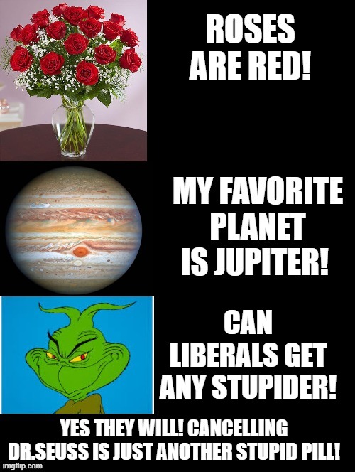 Can Liberals Get Any Stupider? | CAN LIBERALS GET ANY STUPIDER! YES THEY WILL! CANCELLING DR.SEUSS IS JUST ANOTHER STUPID PILL! | image tagged in stupid liberals,woke,morons,idiots | made w/ Imgflip meme maker