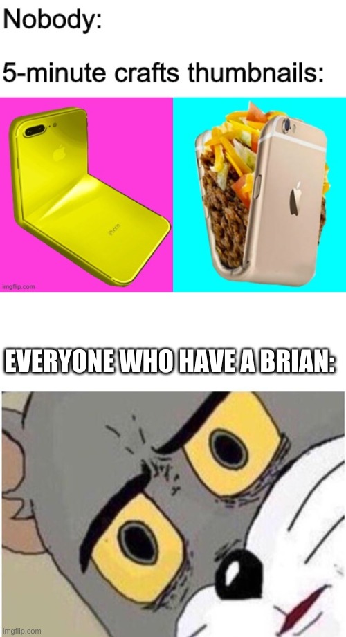 5 minute craft's needs to be stop | EVERYONE WHO HAVE A BRIAN: | image tagged in tom discussed | made w/ Imgflip meme maker