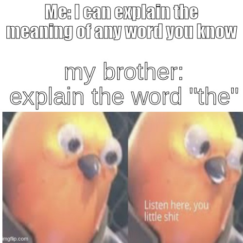 its impossible | Me: I can explain the meaning of any word you know; my brother: explain the word "the" | image tagged in brother,listen here you little shit,listen here you little shit bird,impossible,words | made w/ Imgflip meme maker