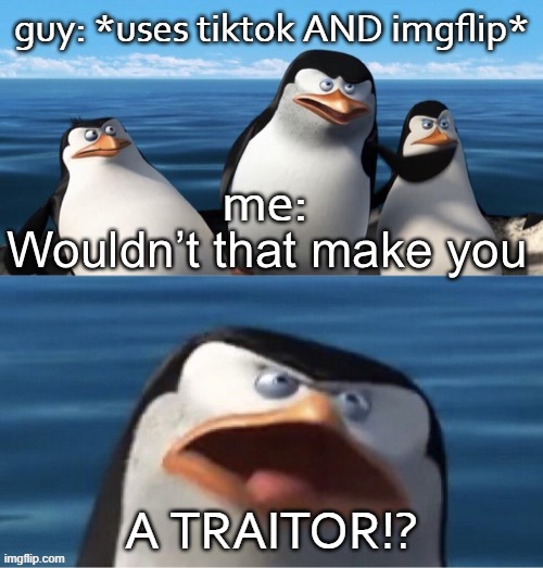 (To Imgflip, of course.) | guy: *uses tiktok AND imgflip*; me:; A TRAITOR!? | image tagged in wouldn t that make you | made w/ Imgflip meme maker