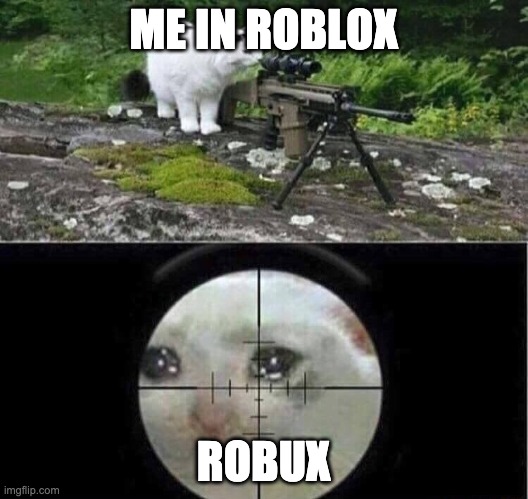 Sniper cat | ME IN ROBLOX; ROBUX | image tagged in sniper cat | made w/ Imgflip meme maker