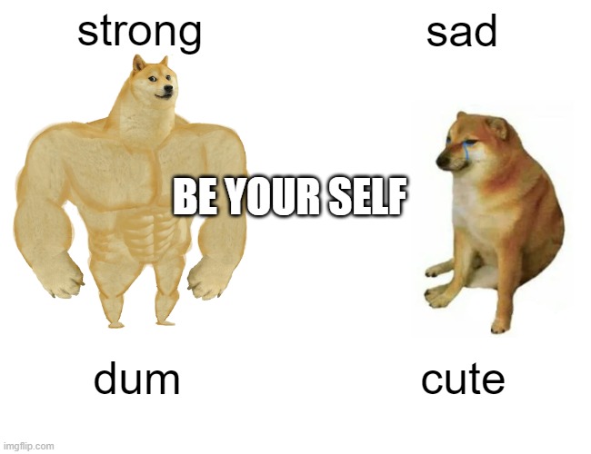 strong sad dum cute BE YOUR SELF | image tagged in memes,buff doge vs cheems | made w/ Imgflip meme maker