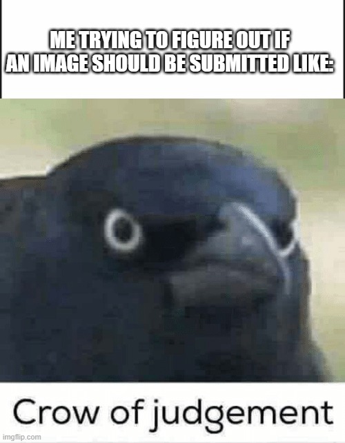 Helping mod MSMG like: | ME TRYING TO FIGURE OUT IF AN IMAGE SHOULD BE SUBMITTED LIKE: | image tagged in plain white,crow of judgement | made w/ Imgflip meme maker