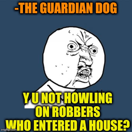 -No sugar bone. | -THE GUARDIAN DOG; Y U NOT HOWLING ON ROBBERS WHO ENTERED A HOUSE? | image tagged in memes,y u no,armed robbery,doge,loud_voice,housework | made w/ Imgflip meme maker