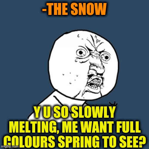 -Jingle sll the way. | -THE SNOW; Y U SO SLOWLY MELTING, ME WANT FULL COLOURS SPRING TO SEE? | image tagged in memes,y u no,snowflakes,melting,spring break,slow motion | made w/ Imgflip meme maker