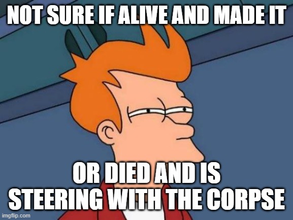 Futurama Fry Meme | NOT SURE IF ALIVE AND MADE IT OR DIED AND IS STEERING WITH THE CORPSE | image tagged in memes,futurama fry | made w/ Imgflip meme maker