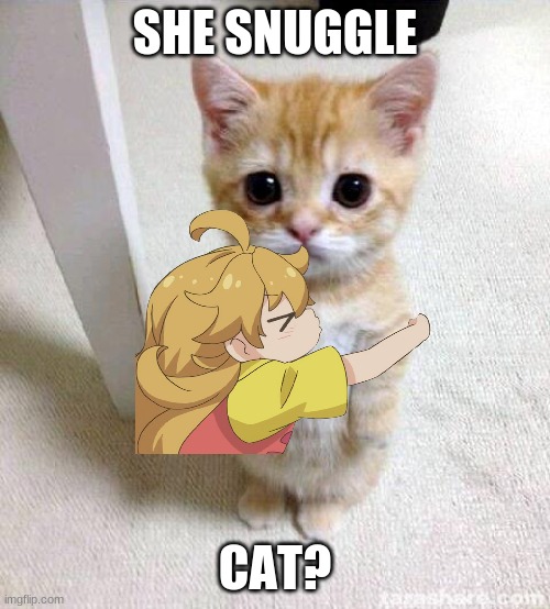 Cute Cat | SHE SNUGGLE; CAT? | image tagged in memes,cute cat | made w/ Imgflip meme maker