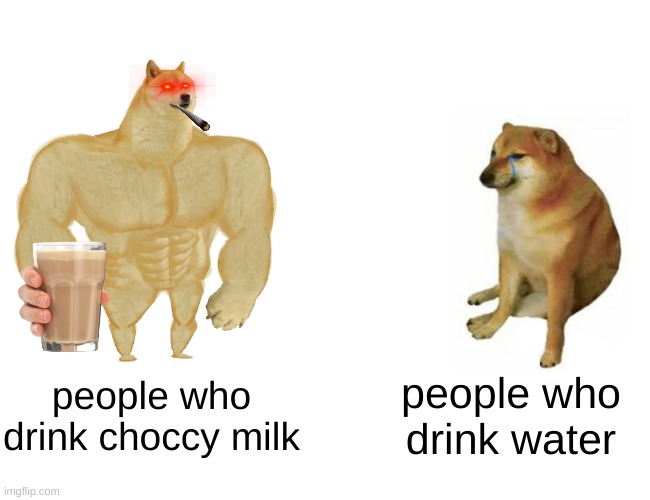 CHOCCY MILK | people who drink choccy milk; people who drink water | image tagged in memes,buff doge vs cheems | made w/ Imgflip meme maker