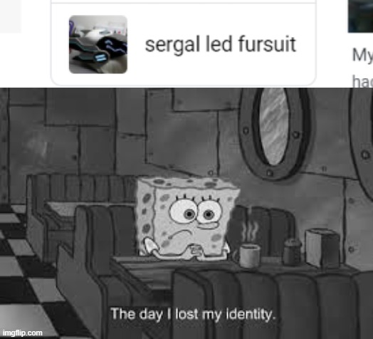 *sad protogen noises* | image tagged in the day i lost my identity,protogen,fursuit,furry,memes | made w/ Imgflip meme maker