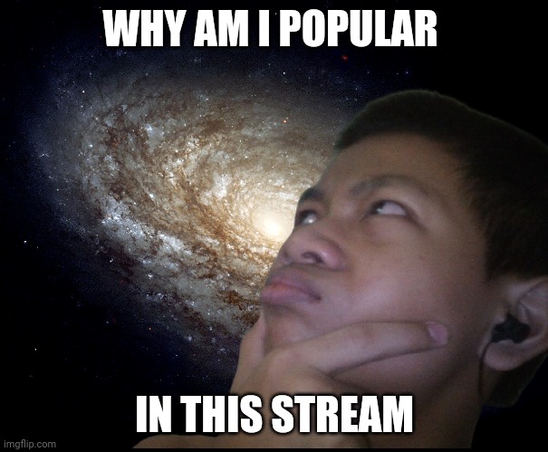 Why am i popular in this stream? | WHY AM I POPULAR; IN THIS STREAM | image tagged in memes | made w/ Imgflip meme maker