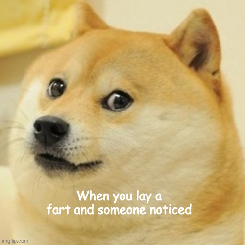 Doge | When you lay a fart and someone noticed | image tagged in memes,doge | made w/ Imgflip meme maker