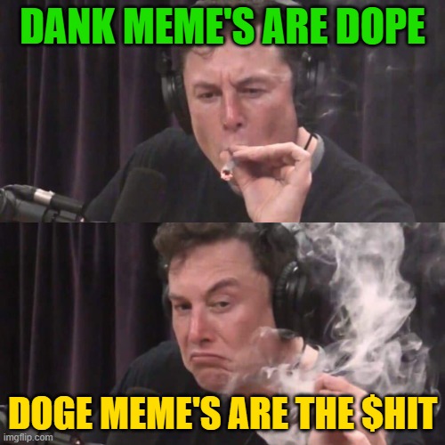 DOPE is DOGE | DANK MEME'S ARE DOPE; DOGE MEME'S ARE THE $HIT | image tagged in elon musk weed | made w/ Imgflip meme maker