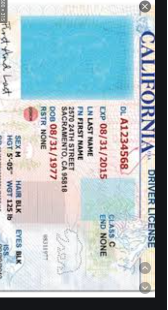 fake driving licence template