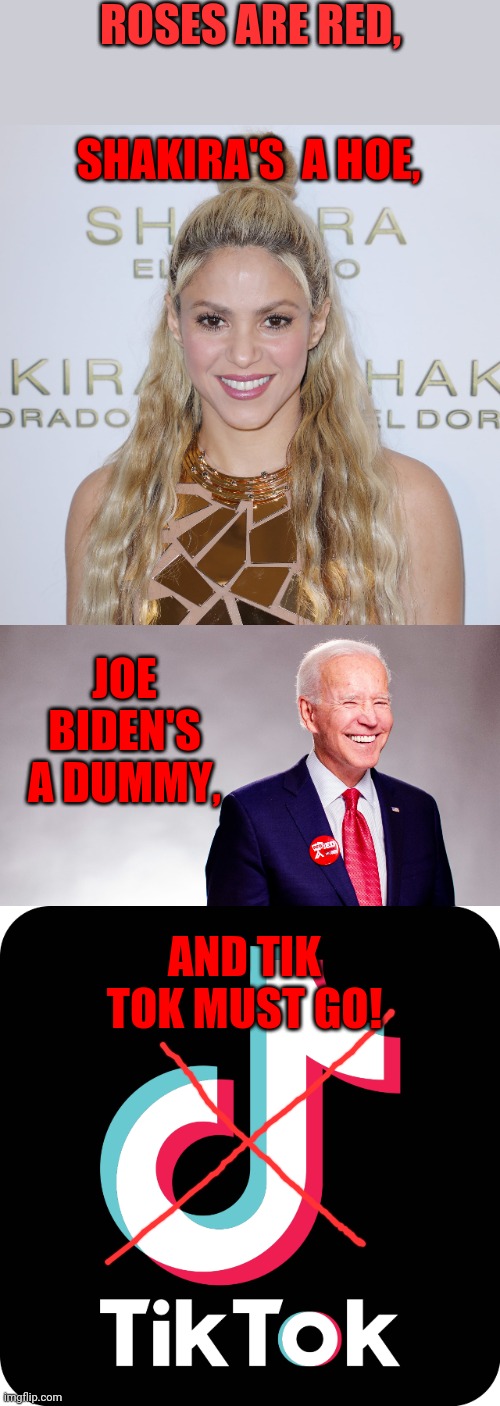 (And it's true you know!) |  ROSES ARE RED, SHAKIRA'S  A HOE, JOE BIDEN'S A DUMMY, AND TIK TOK MUST GO! | image tagged in joe biden,dummy | made w/ Imgflip meme maker